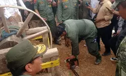 Kerusakan hutan TNGHS sekitar 10 persen akibat penambang ilegal Kerusakan hutan TNGHS sekitar 10 persen akibat penambang ilegal