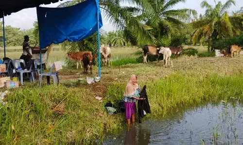 Banjir mulai surut, warga Telaga Jernih masih bertahan di pengungsian Banjir mulai surut, warga Telaga Jernih masih bertahan di pengungsian