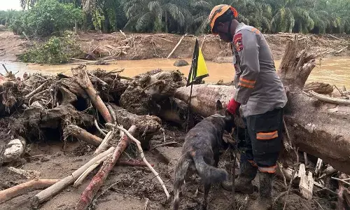 Satuan K-9 Ditpolsatwa Polri bantu pencarian korban di Sumut