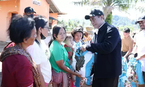 Mentan: Pemerintah ambil alih pemulihan sawah terdampak banjir Sumatera