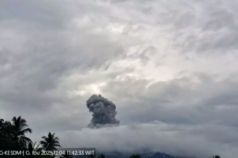 Gunung Ibu semburkan abu setinggi hingga 600 meter