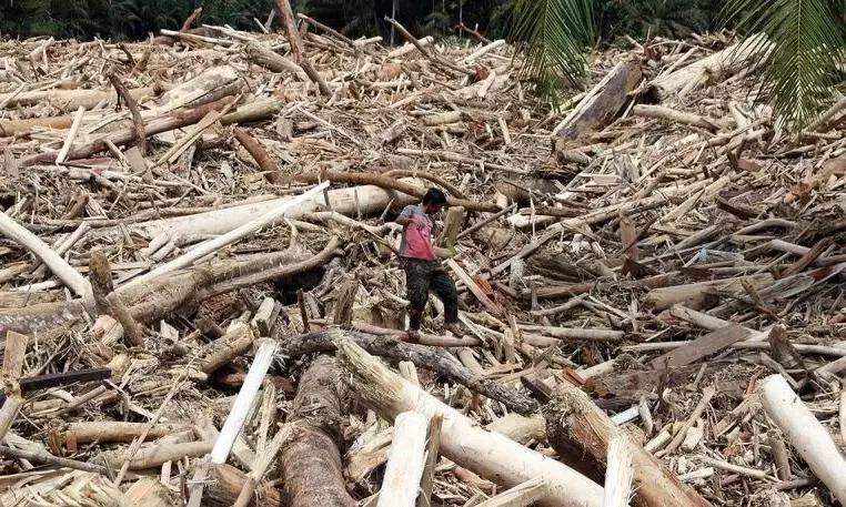Kemenhut dan Polri bentuk tim investigasi asal kayu terseret banjir Kemenhut dan Polri bentuk tim investigasi asal kayu terseret banjir