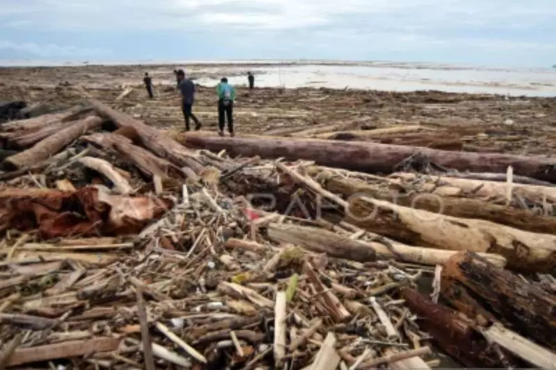 Kemenhut: 12 perusahaan terindikasi berkontribusi picu banjir Sumatera