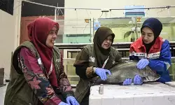 Pertamina kuatkan riset energi dan pangan lewat PFsains Pertamina kuatkan riset energi dan pangan lewat PFsains