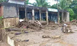 Budayawan Aceh harap pemerintah percepat penanganan bencana Sumatera dan evaluasi HGU