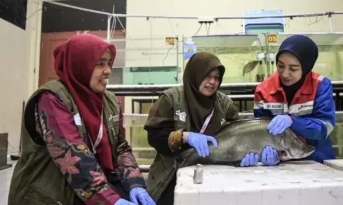 Pertamina kuatkan riset energi dan pangan lewat PFsains