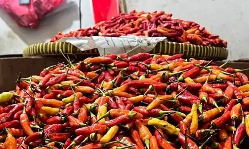 PIHPS: Harga cabai rawit Rp70.200/kg, telur ayam Rp32.450/kg PIHPS: Harga cabai rawit Rp70.200/kg, telur ayam Rp32.450/kg