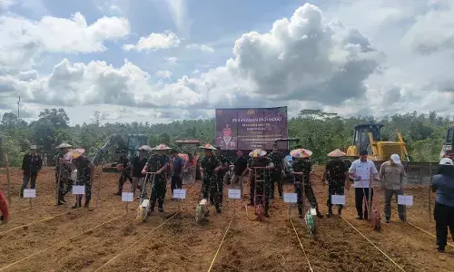 TNI dan rakyat tanam padi Gogo seluas 1.400 hektar di Kutai Barat TNI dan rakyat tanam padi Gogo seluas 1.400 hektar di Kutai Barat