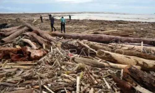 Kemenhut: 12 perusahaan terindikasi berkontribusi picu banjir Sumatera