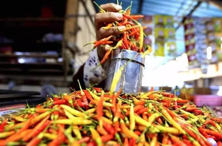 PIHPS: Harga cabai rawit Rp70.500/kg, telur ayam Rp32.250/kg