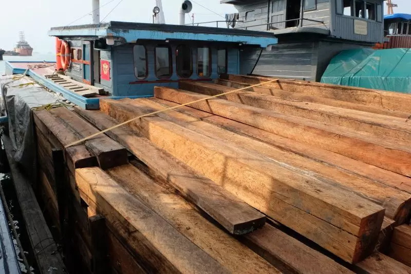 1.250 balok kayu ilegal berhasil diamankan Bea Cukai Batam