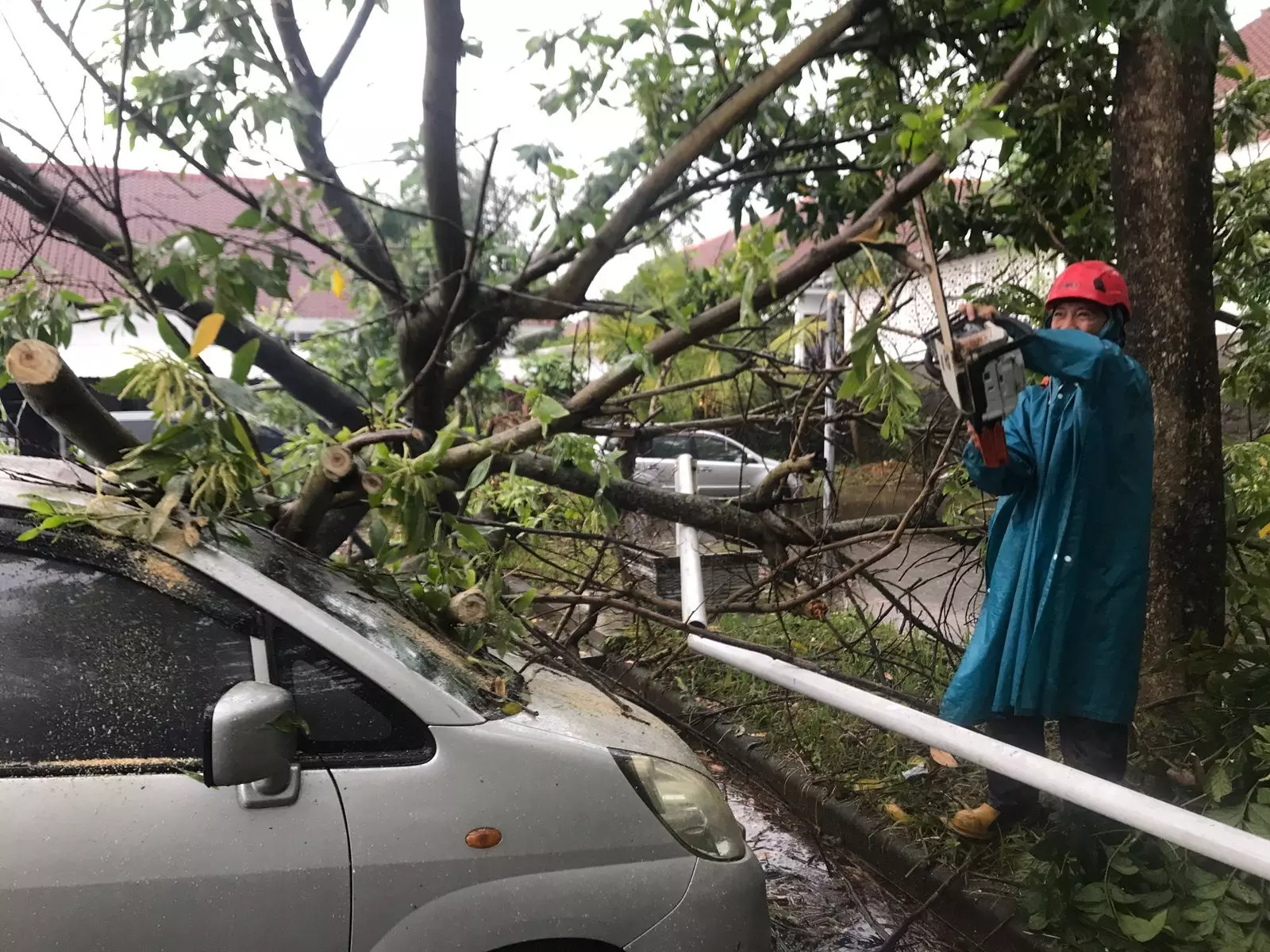 Hujan deras dan angin kencang akibatkan pohon tumbang dan timpa 3 mobil