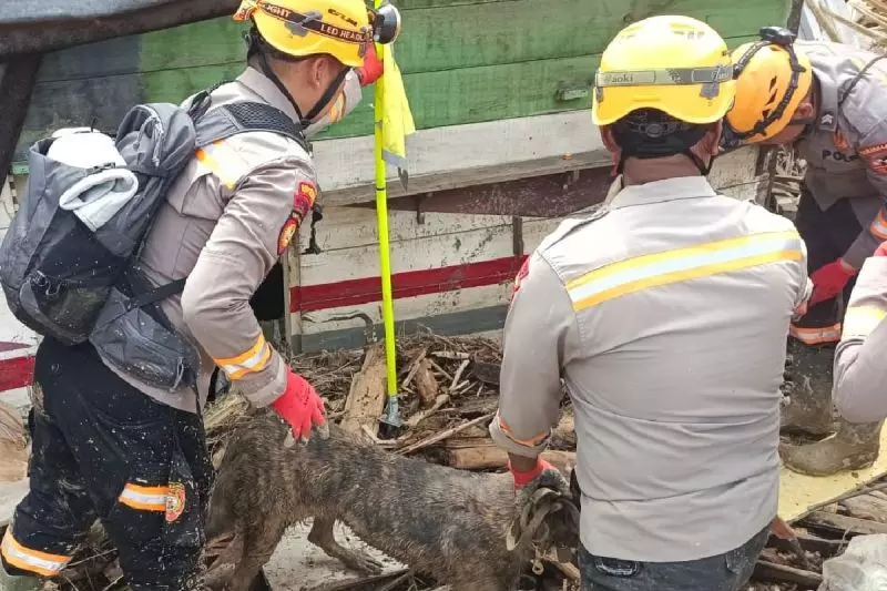 Polda Sumut gerakkan Tim K-9 intensifkan pencarian korban di Tapsel