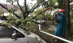 Hujan deras dan angin kencang akibatkan pohon tumbang dan timpa 3 mobil Hujan deras dan angin kencang akibatkan pohon tumbang dan timpa 3 mobil