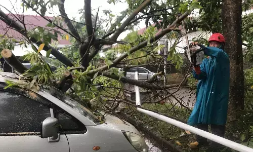 Hujan deras dan angin kencang akibatkan pohon tumbang dan timpa 3 mobil