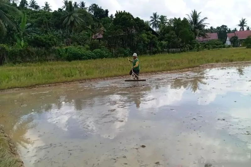 Petani Kaltim masih sejahtera dibuktikan dengan NTP tinggi Petani Kaltim masih sejahtera dibuktikan dengan NTP tinggi