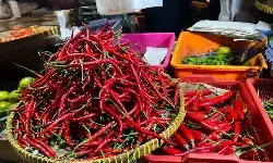 PIHPS: Harga cabai rawit Rp72.700/kg, telur ayam Rp32.350/kg