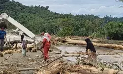 BPBD: 261 rumah di Aceh Barat terdampak banjir bandang