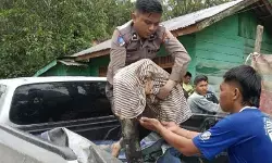 Korban meninggal dunia bencana alam di Sumut bertambah jadi 318 orang