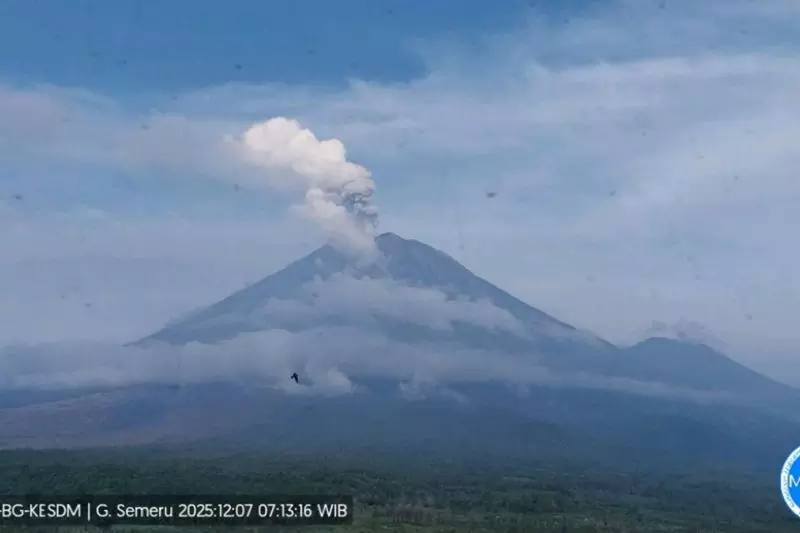 Gunung Semeru empat kali erupsi dengan tinggi letusan 1 km Gunung Semeru empat kali erupsi dengan tinggi letusan 1 km