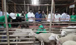 Perkuat ekonomi mustahik, BAZNAS RI resmikan Balai Ternak Pemalang Perkuat ekonomi mustahik, BAZNAS RI resmikan Balai Ternak Pemalang