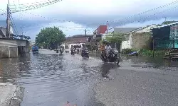 Banjir rob genangi rumah warga di Kampung Opas Pangkalpinang