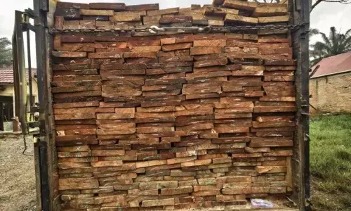 Polda Riau amankan perambah hutan dengan 10 kubik kayu olahan Polda Riau amankan perambah hutan dengan 10 kubik kayu olahan