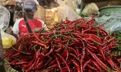 PIHPS: Harga cabai rawit Rp74.250 per kg, telur ayam Rp32.550 per kg PIHPS: Harga cabai rawit Rp74.250 per kg, telur ayam Rp32.550 per kg