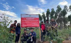 Kemenhut kejar 12 subjek hukum di Tapanuli penyebab banjir dan longsor