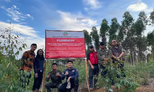 Kemenhut kejar 12 subjek hukum di Tapanuli penyebab banjir dan longsor