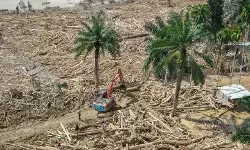 Bareskrim selidiki dugaan penebangan liar di Sungai Tamiang