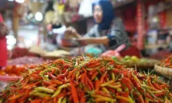 PIHPS: Harga cabai rawit Rp79.350/kg, telur ayam Rp32.550/kg