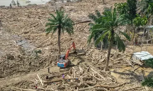 Bareskrim selidiki dugaan penebangan liar di Sungai Tamiang