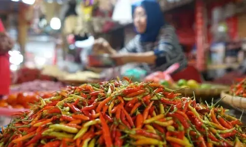 PIHPS: Harga cabai rawit Rp79.350/kg, telur ayam Rp32.550/kg