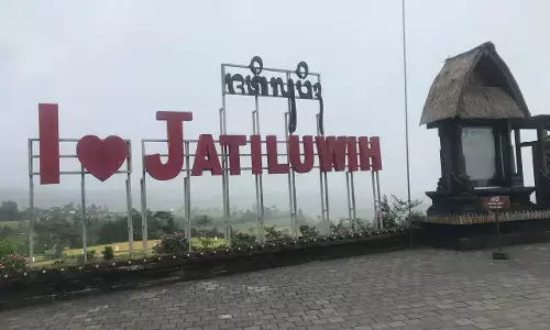 DTW Jaitiluwih targetkan kenaikan kunjungan wisatawan jelang tahun baru DTW Jaitiluwih targetkan kenaikan kunjungan wisatawan jelang tahun baru