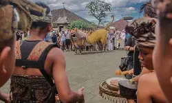 Sambut Nataru, Desa Wisata Penglipuran Bangli siapkan atraksi budaya
