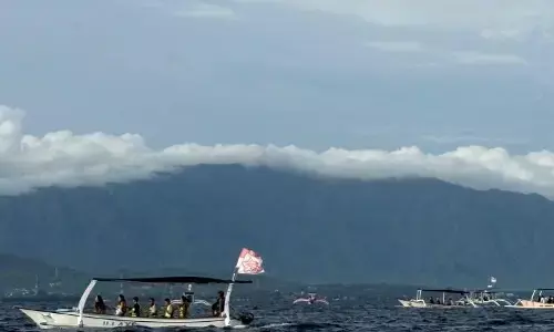 Kiat bertemu dengan lumba-lumba di tengah laut Bali Utara Kiat bertemu dengan lumba-lumba di tengah laut Bali Utara