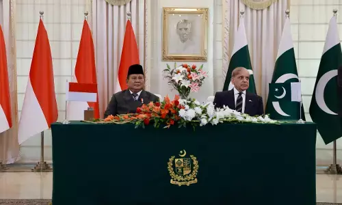 Indonesia-Pakistan serukan Two-State Solution dukung kemerdekaan Palestina