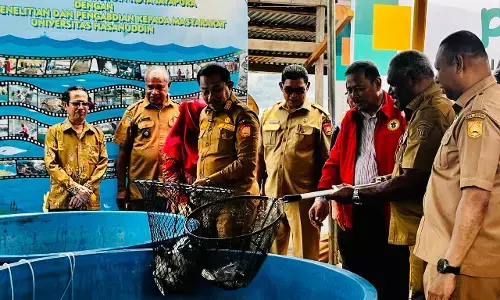 Pemkot Jayapura panen raya ikan hasil kajian pengembangan budidaya Pemkot Jayapura panen raya ikan hasil kajian pengembangan budidaya