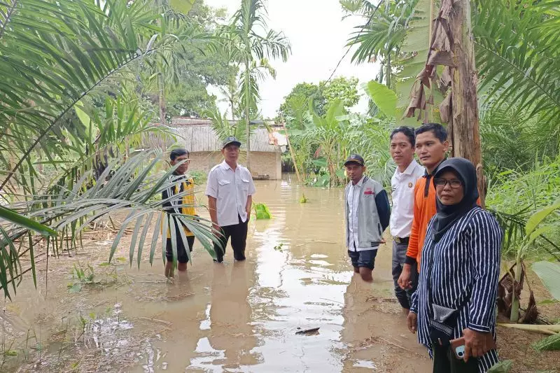 Banjir merendam lima desa di OKU Timur Sumsel Banjir merendam lima desa di OKU Timur Sumsel