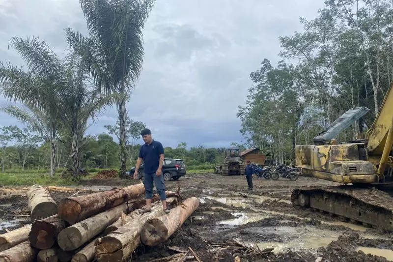 Kemenhut tindak 11 entitas usaha diduga jadi faktor banjir di Tapsel Kemenhut tindak 11 entitas usaha diduga jadi faktor banjir di Tapsel