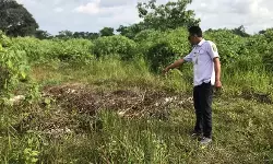 Resahkan warga, aparat buru pelaku pembuang limbah ayam di Desa Jelok