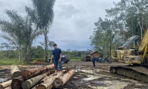Kemenhut tindak 11 entitas usaha diduga jadi faktor banjir di Tapsel