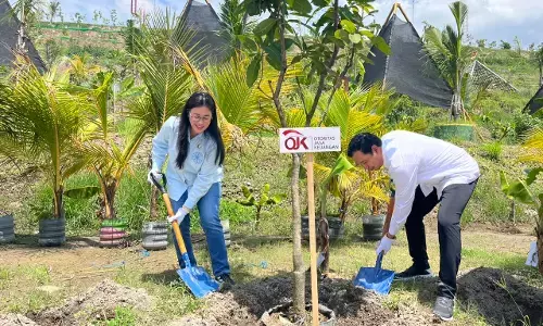 Peduli lingkungan, OJK Kediri beri bantuan ratusan bibit pohon di TPA Winongo