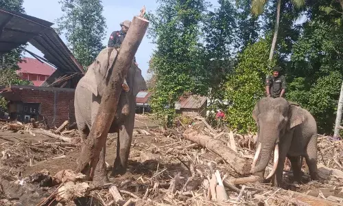 Aceh larang kayu sisa banjir bandang dibawa keluar daerah Aceh larang kayu sisa banjir bandang dibawa keluar daerah