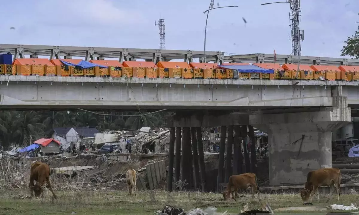 BNPB jelaskan kondisi tenda pengungsian di Aceh BNPB jelaskan kondisi tenda pengungsian di Aceh
