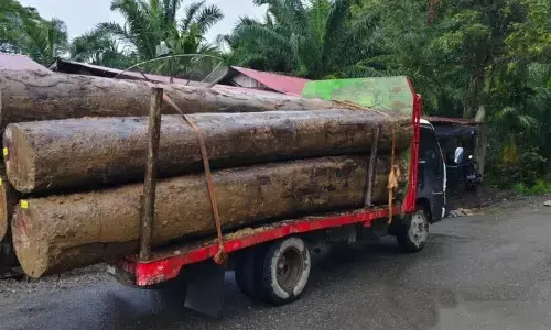 LSM minta polisi usut pengiriman kayu di Aceh Barat saat bencana