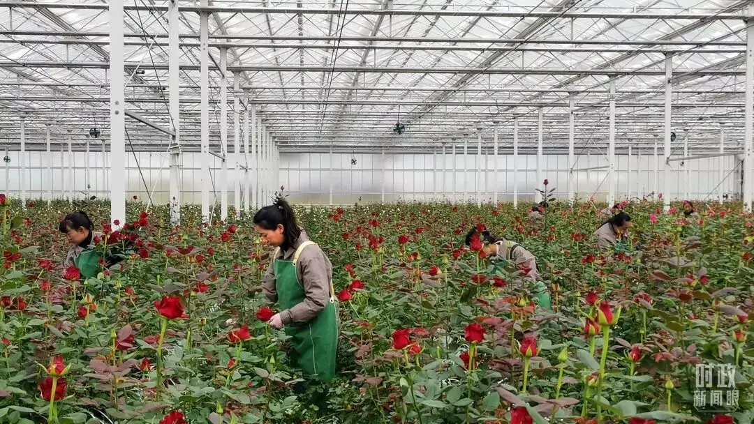 Bagaimana ekonomi Tiongkok beroperasi pada tahun 2026 Bagaimana ekonomi Tiongkok beroperasi pada tahun 2026