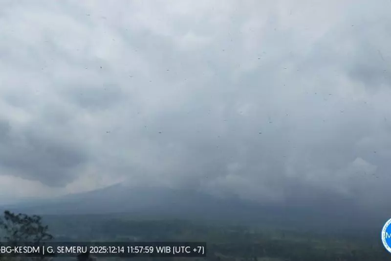 Gempa letusan masih mendominasi aktivitas Gunung Semeru Gempa letusan masih mendominasi aktivitas Gunung Semeru