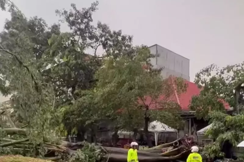 Jakarta tingkatkan antisipasi bencana Jakarta tingkatkan antisipasi bencana